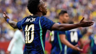 تشواميني وفينيسيوس