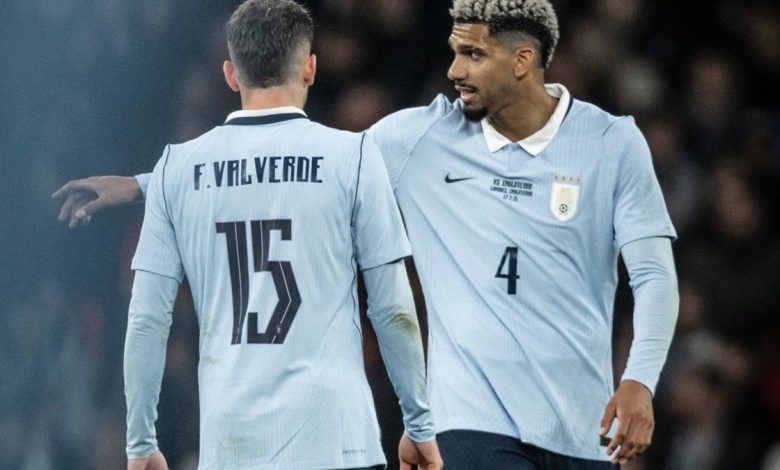 فيدي فالفيردي