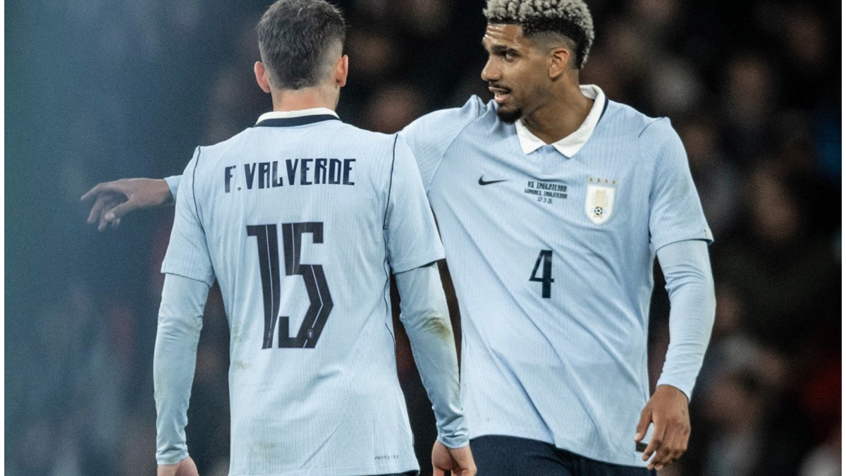 فيدي فالفيردي